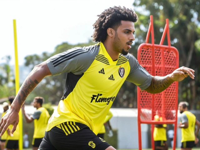Flamengo x Criciúma: Rubro-Negro Busca Liderança do Brasileirão